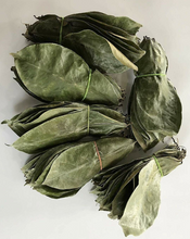 Load image into Gallery viewer, Soursop