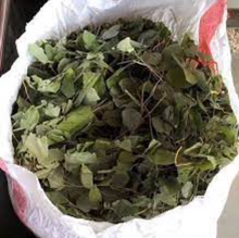 Load image into Gallery viewer, Horny Goat weed